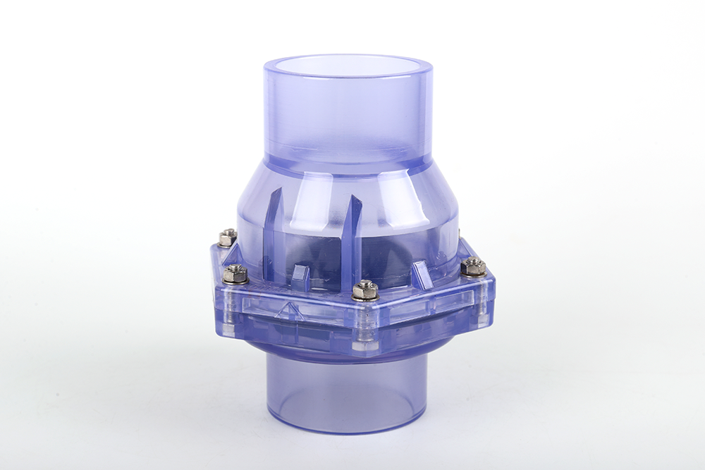 竟陵街道透明翻板式止回阀